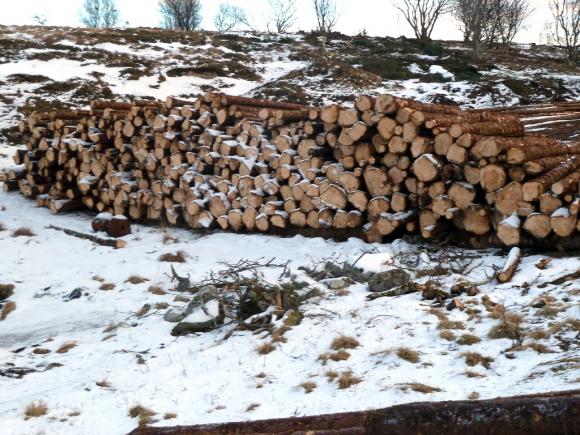 T�mmerstabel i fj�ra mellom Labakken og Ytterlodden.