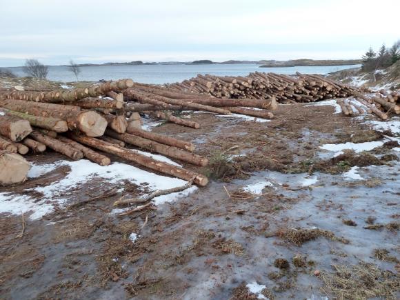 T�mmerstabel i fj�ra mellom Labakken og Ytterlodden.