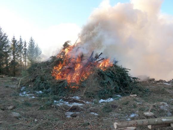 Kvist- og greinb�lene har v�rt mange og store.