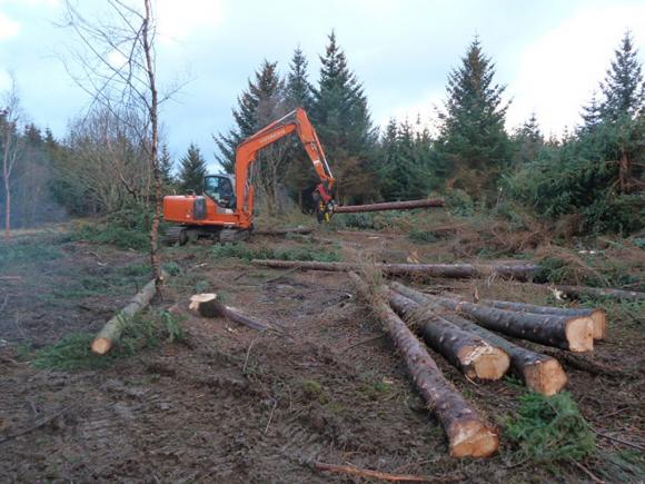 Maskinen klipper gran opp til 35 cm tykkelse.