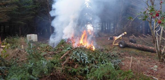 Brenning av grankvist i Skï¿½lvï¿½r oktober 2017.