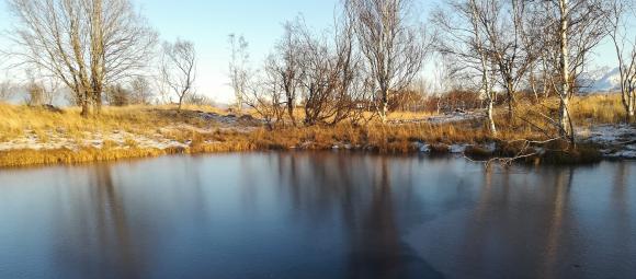 frost ved dammen