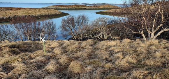 V�rstemning p� Flagghaugen.