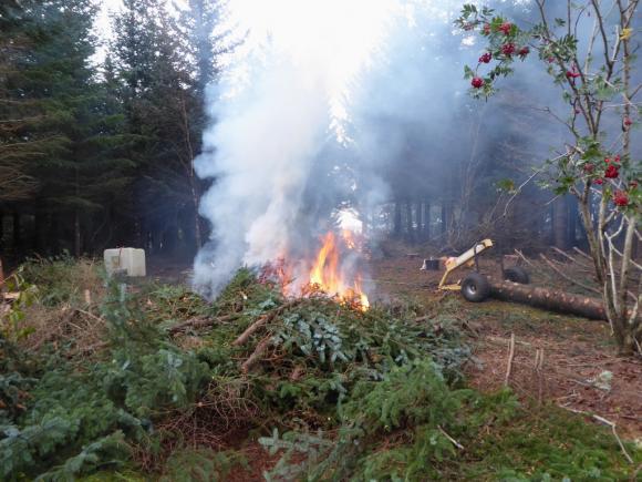 Brenning av grankvist i Sk�lv�r oktober 2017.