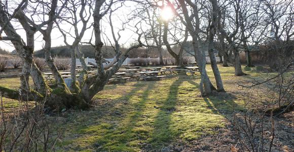 Sol i februar.
