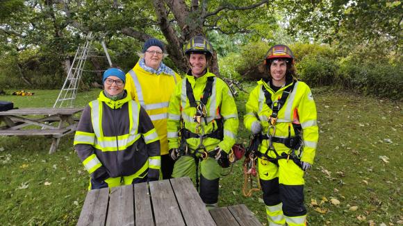 Teamet som var på jobb i Skålvær. Fra venste kommunegartner i Alstahaug Haldis Hagen, Skogsjef Ragna Gunn Bye og arboristene Bjarne Ravn Hunstad og Joakim Flatøy.