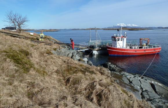 Oppsetting av kaistolper p�sken 2015.
