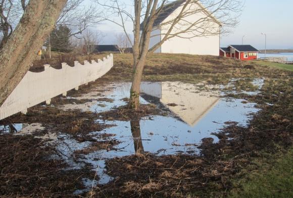 28. januar 2017. Store vanndammer der der vanligvis er tï¿½rt land. Det har regnet det meste av desember og januar.