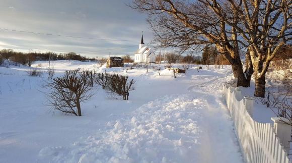 Sn�vinter. Sk�lv�r 25. januar 2019.