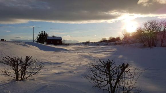 Sn�vinter. Sk�lv�r 25. januar 2019.