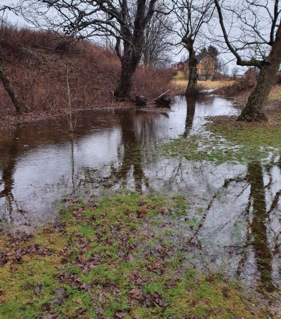 Oversv�mmelse i Sk�lv�rhagen januar 2022 etter store mengder regn, og tele i jorda.