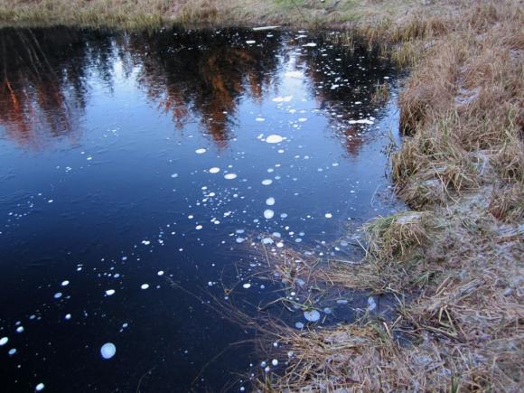Blankis med bobler p� Dammen i januar 2014.