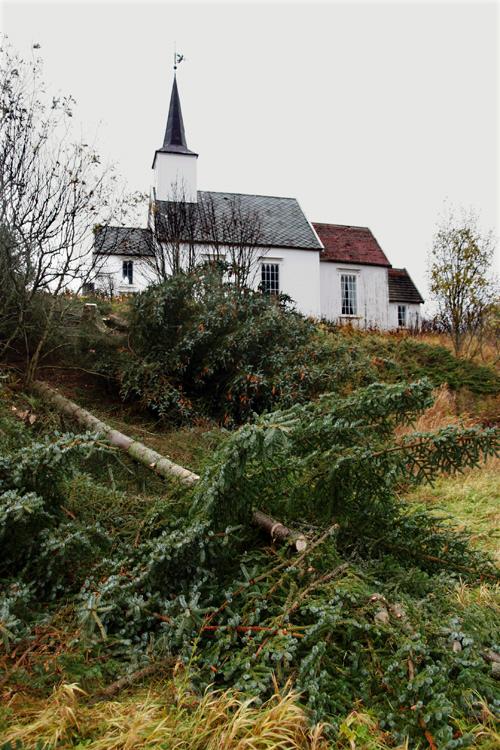 Grantrær felt ved Skålvær kirke