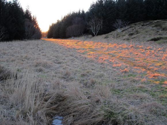 Solstreif i V�gen en januardag