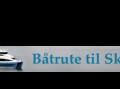 vignett rute forside