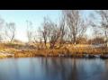 frost ved dammen
