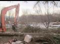Granhogst i Sk�lv�r
