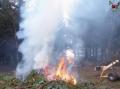 Brenning av grankvist i Sk�lv�r oktober 2017.