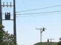 Det p�g�r omfattende arbeid p� h�yspentnettet fra Hest�ysund og vestover.