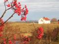H�st p� Ytterlodden.