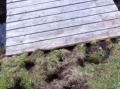 Brua faller snart ned i gr�fta hvis det graves mer her.
