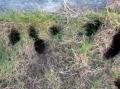 V�ndhull ved hurtigb�tkaien i Sk�lv�r.