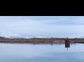 Stille i sundet